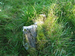 24017 Mossy rock.jpg